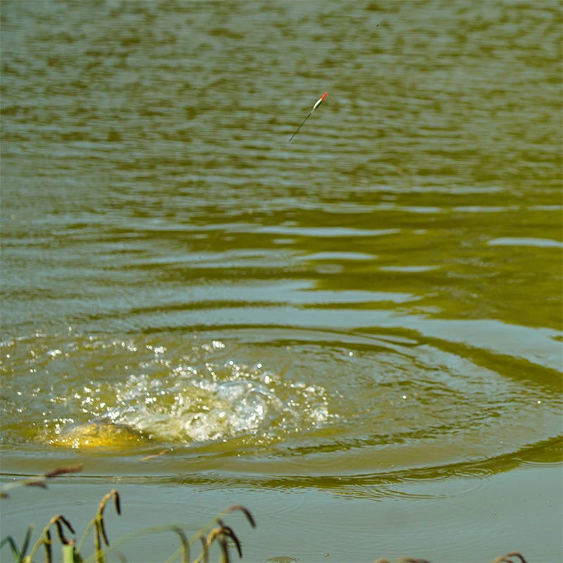 Guru Bobbie Carbon Pole Floats